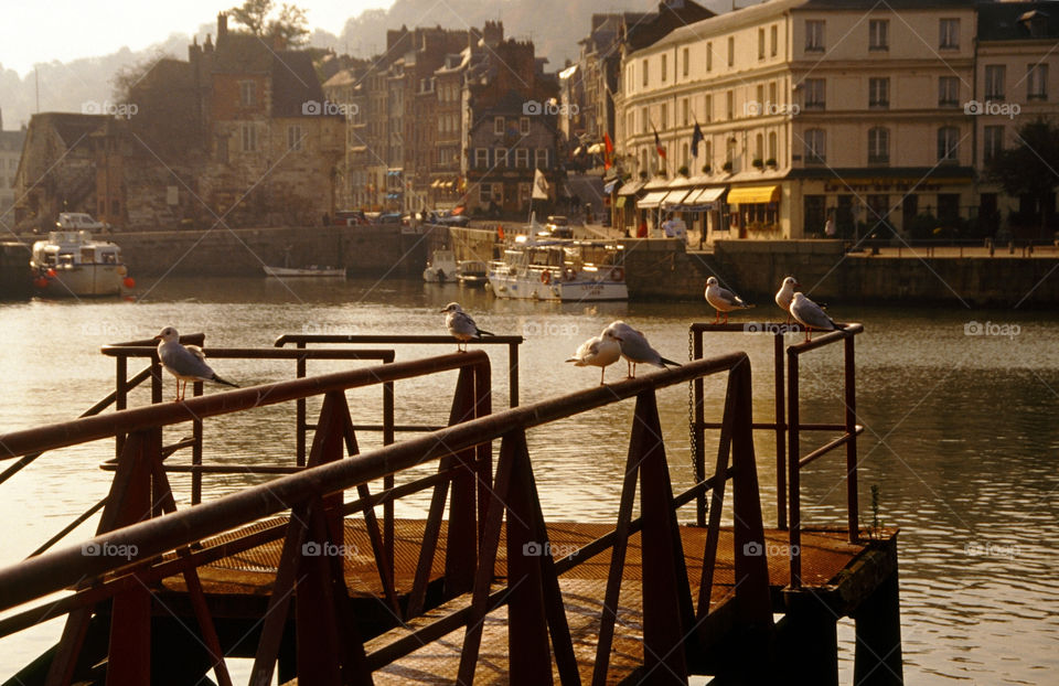 Honfleur