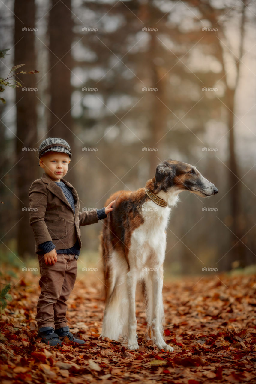 Cute boy with russian borzoi dog in an autumn park 