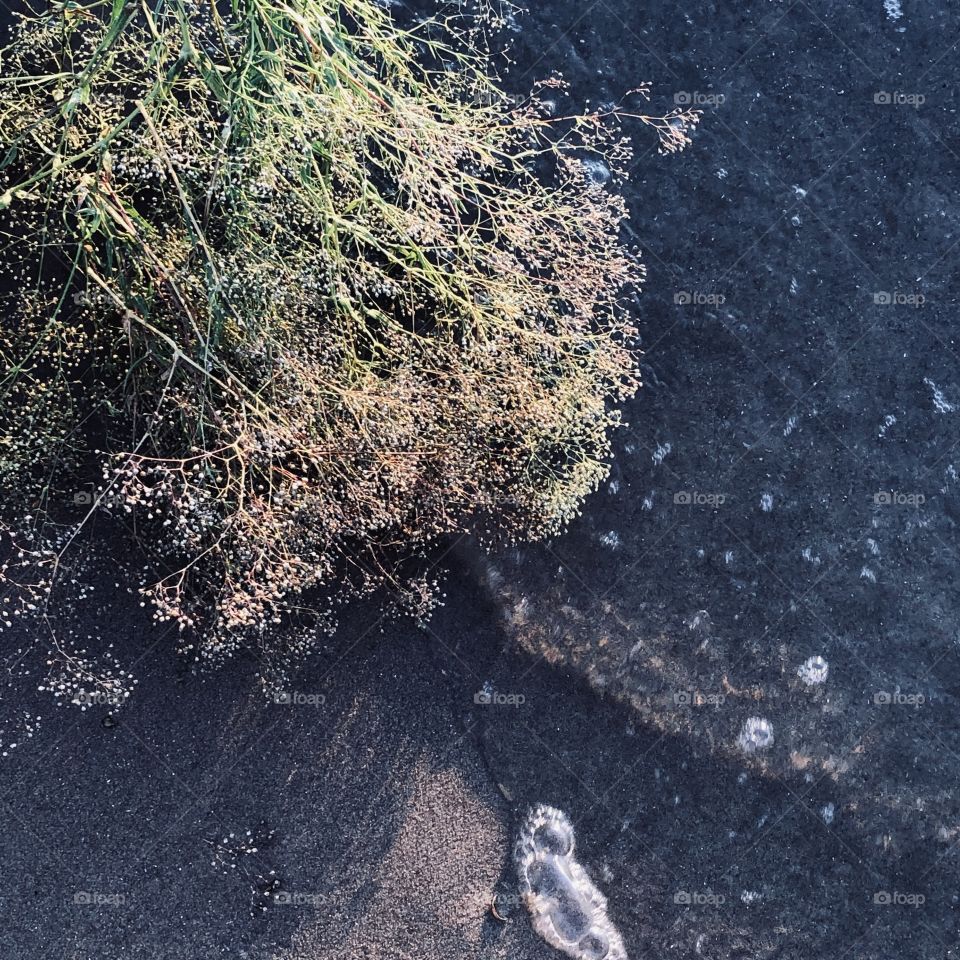 Guboja is washed by a wave