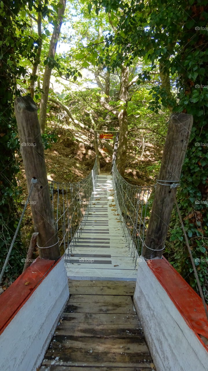 Greece Pavliani forest river bridge. Greece Pavliani forest river bridge