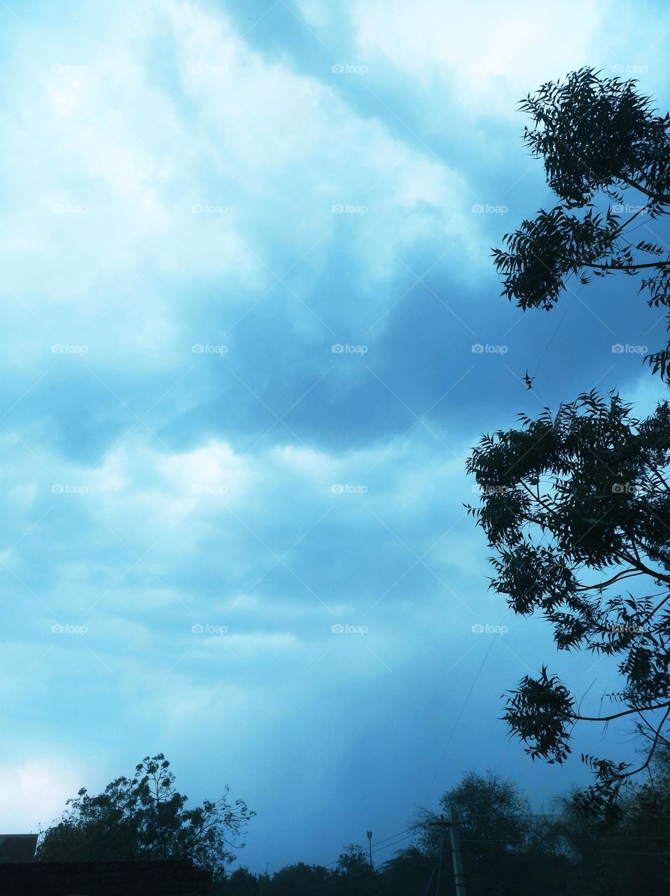 a rainy day white clouds in blue sky whitish cloud scattered dark tree looks very beautiful