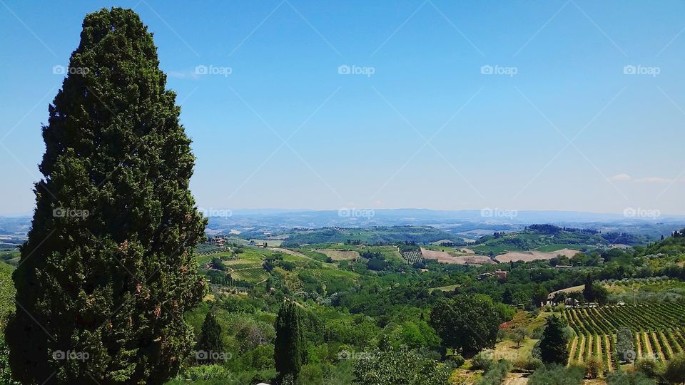 Tuscan Lanscape