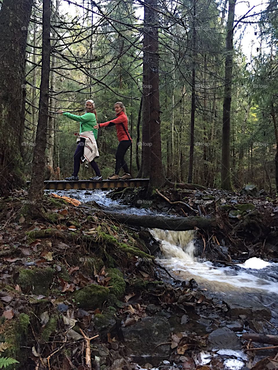 Hiking in the woods