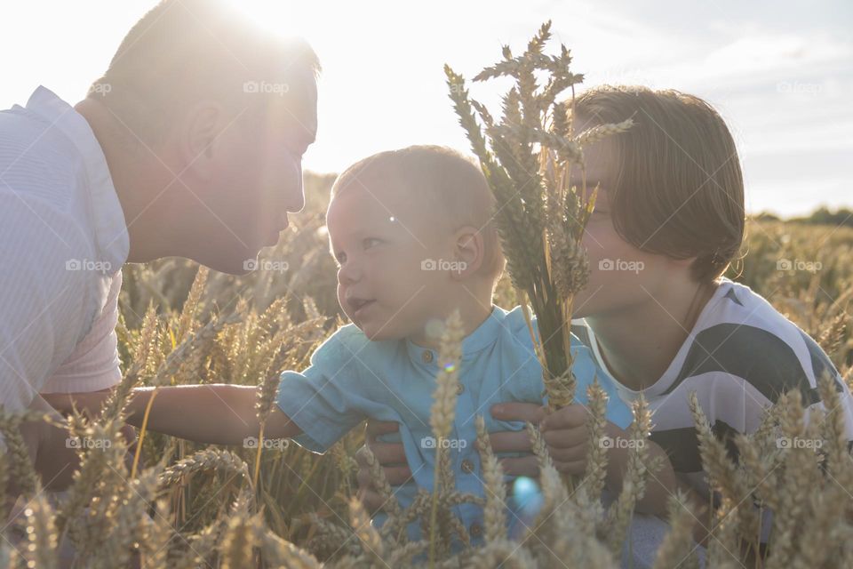 Dad and two sons in a field with ripe wheat against the backdrop of the setting sun during the harvest.