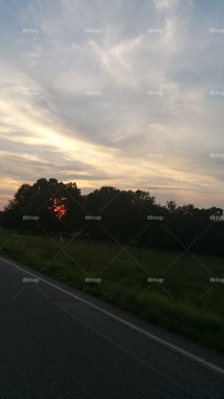 sun set. sun set behind the trees