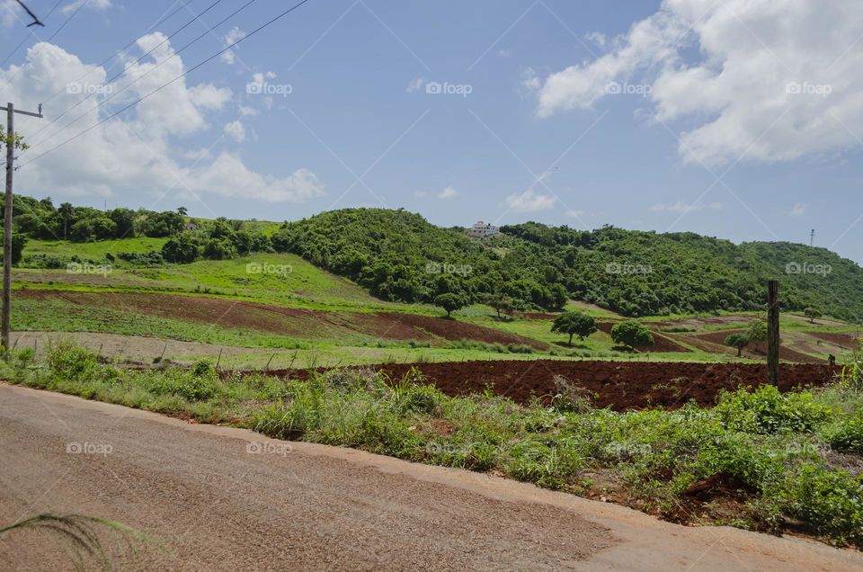 Beautiful Farm Land