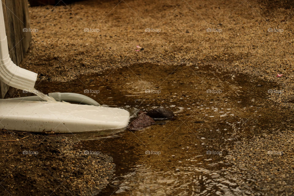 Water flooding from the gutter