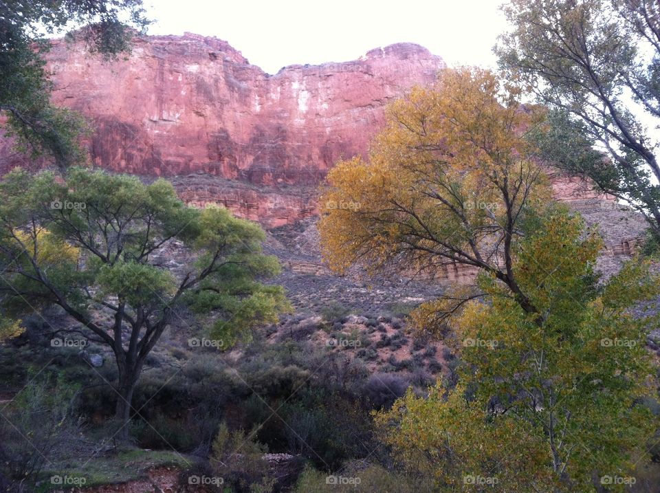 Autumn in the Grand Canyon