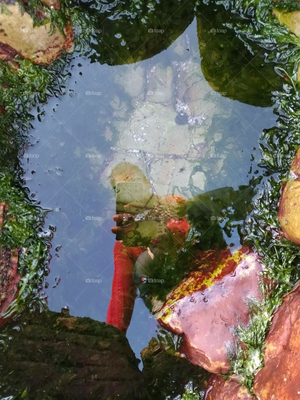 reflect in the water