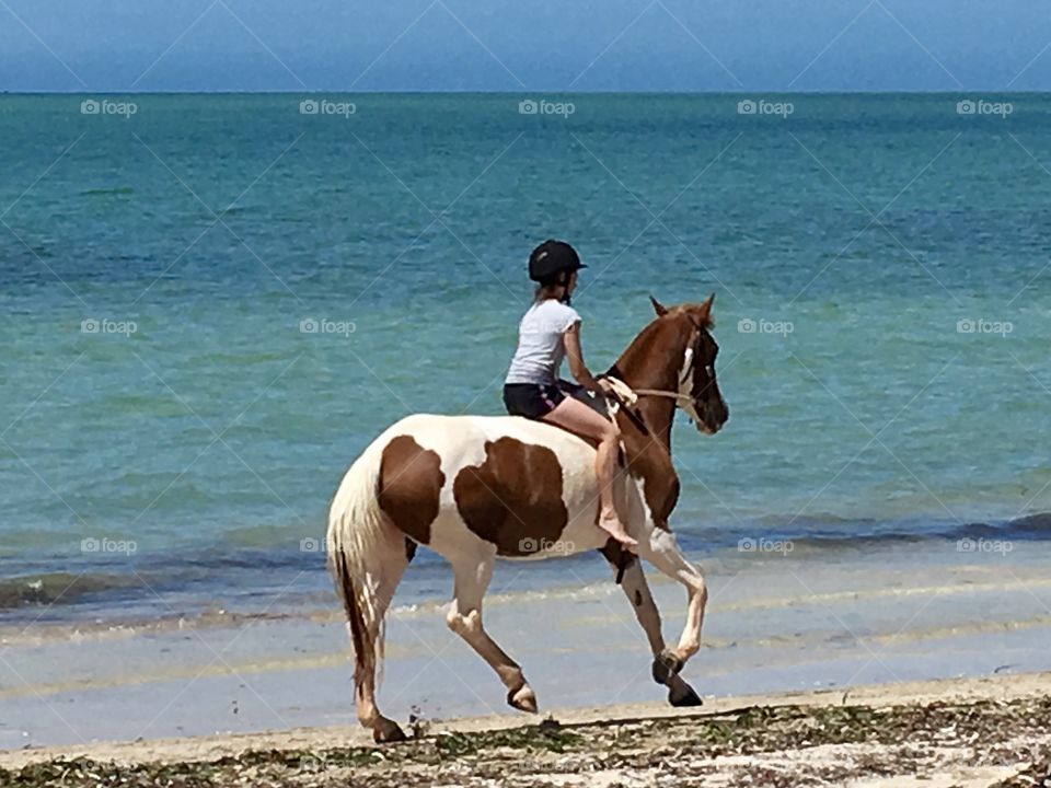 Barefoot rider on horse at seashore on beach