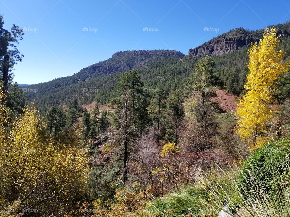 fall in the mountains