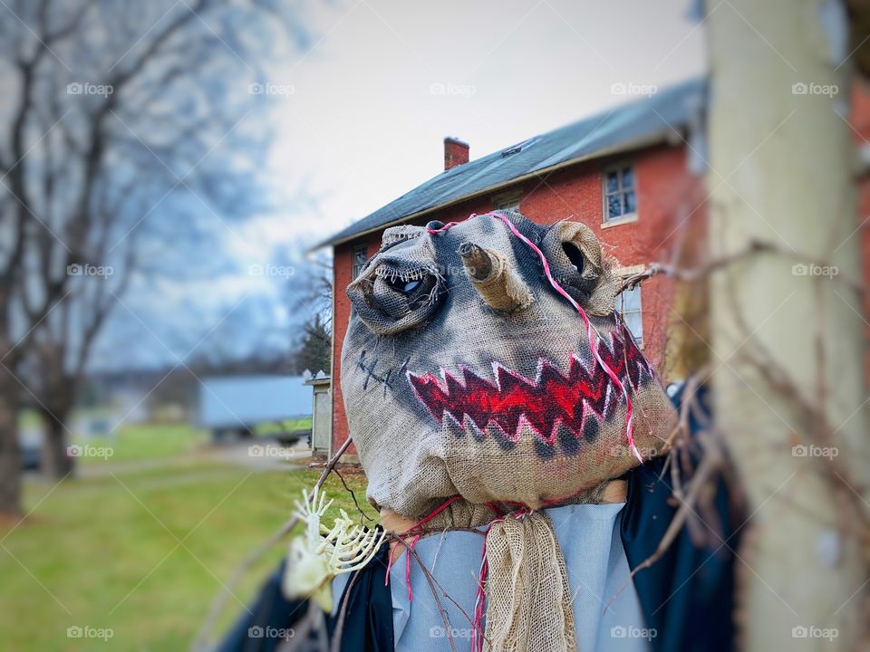 Scary crow scarecrow face closeup