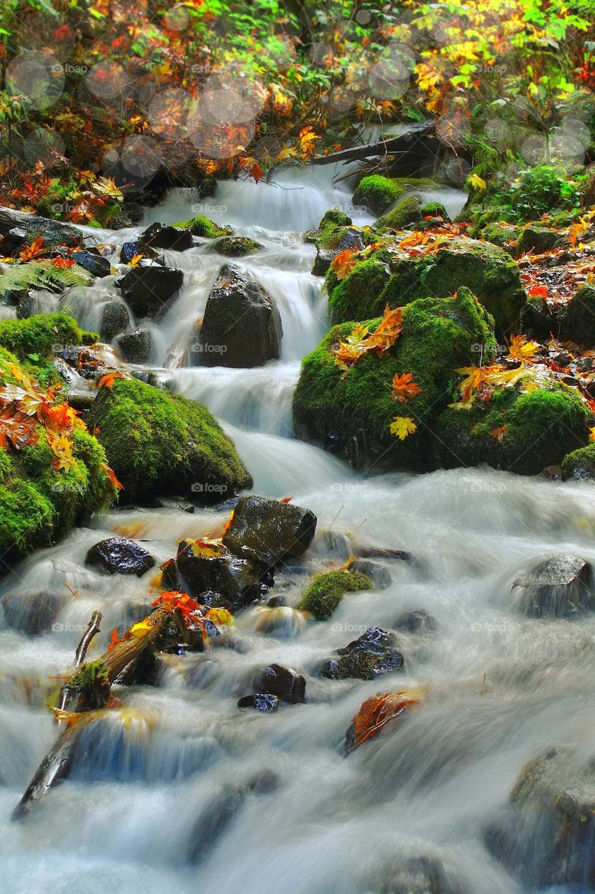 autumn river