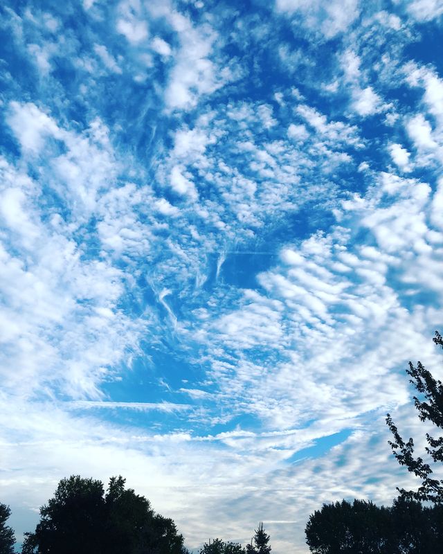 An amazing blue sky with wispy clouds