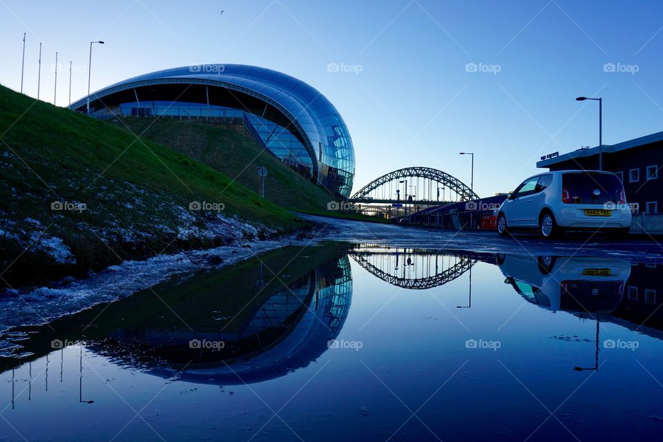 Puddle Reflection