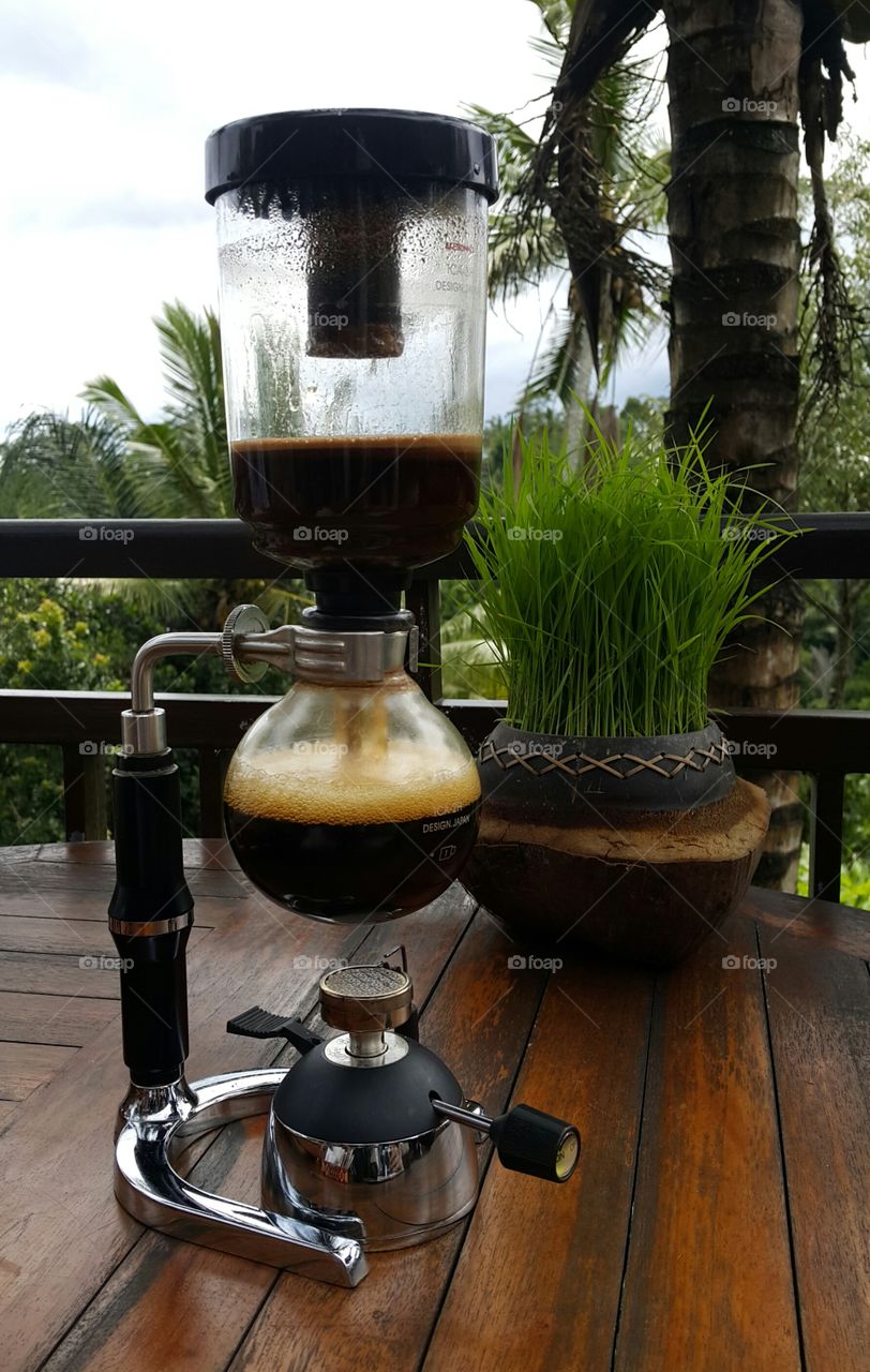 Kopi luwak (civet coffee), Bali, Indonesia
