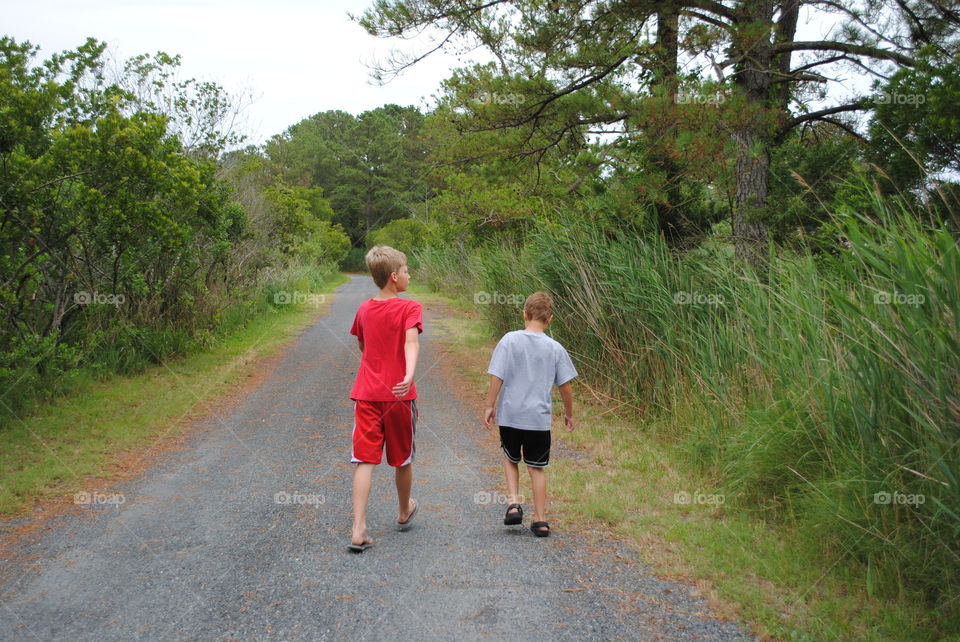 Rear view of boy walking with trees in forest