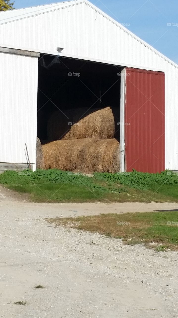 Hay!