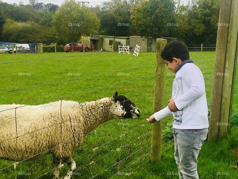 Be an animal helper. 