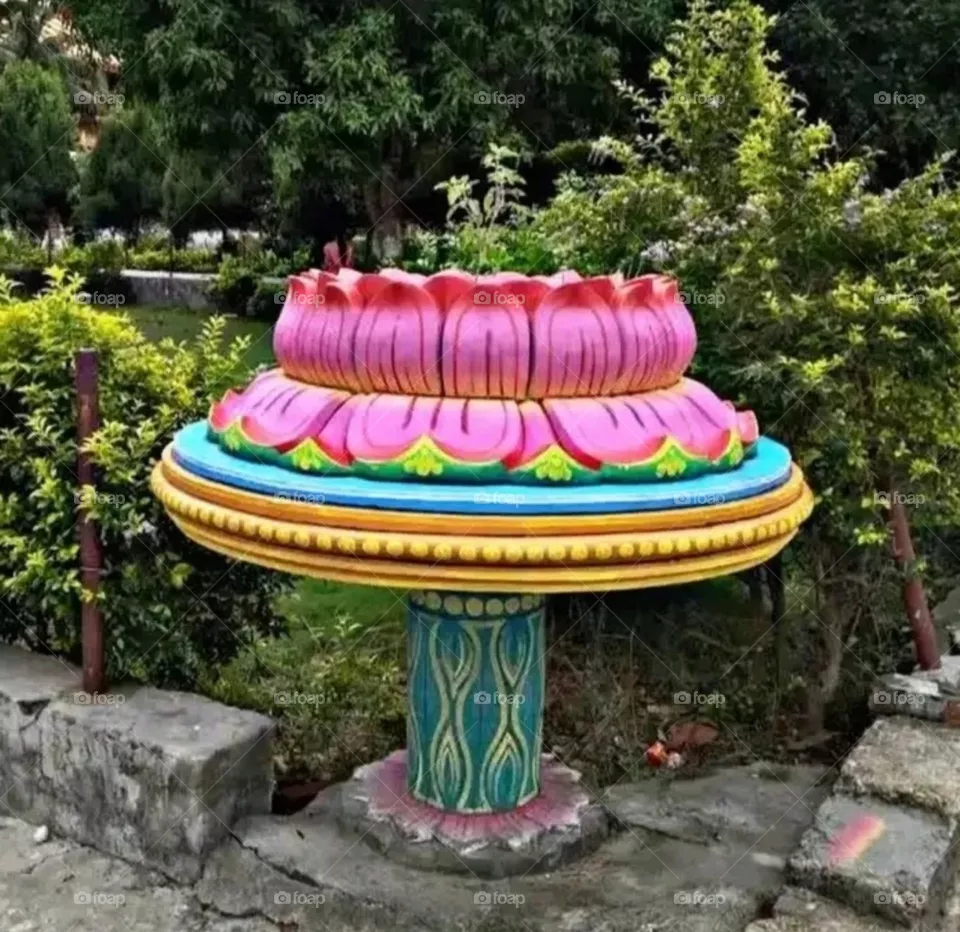 Beautiful shape of lotus flower present inside a garden.