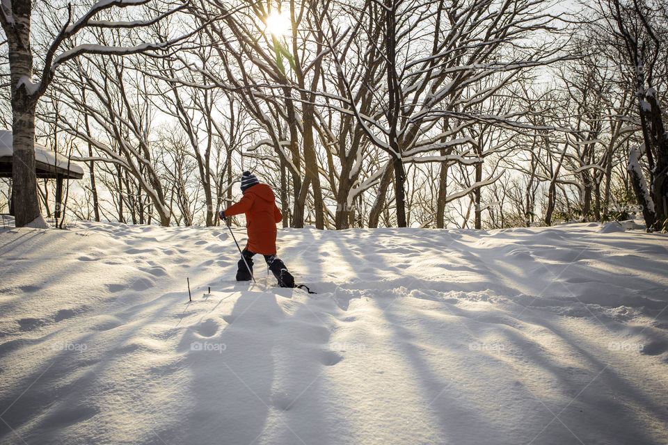 Young boy snowshoe walking on the snow through the forest on a winter sunny day in Sapporo Hokkaido Japan