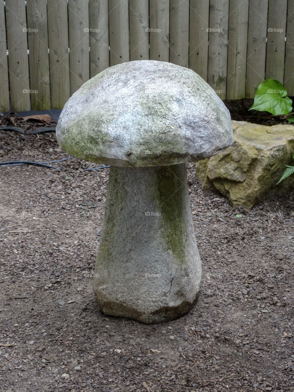 Stone mushroom