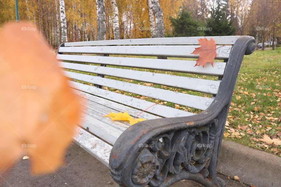 скамья.осень.листья.улица.город.