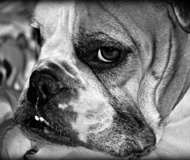 My sweet girl, Allie. 