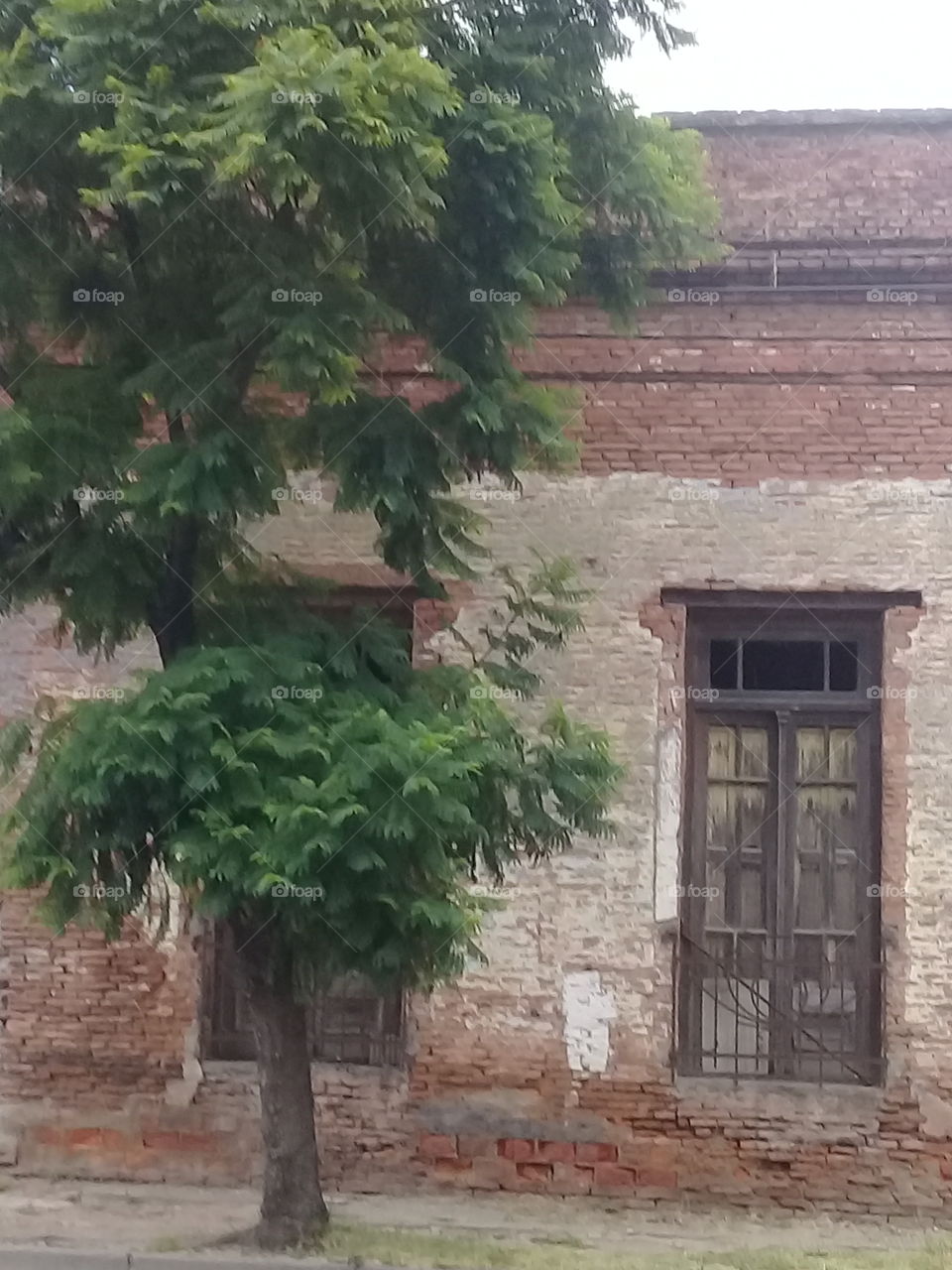 fachada de una antigua casa en ruinas y abandonada con grandes ventanales de madera con rejas de hierro originales.