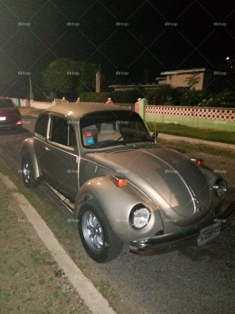 vw bug 1974