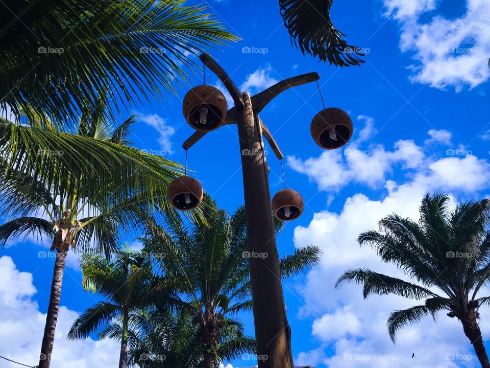 Low angle view of palm trees and light