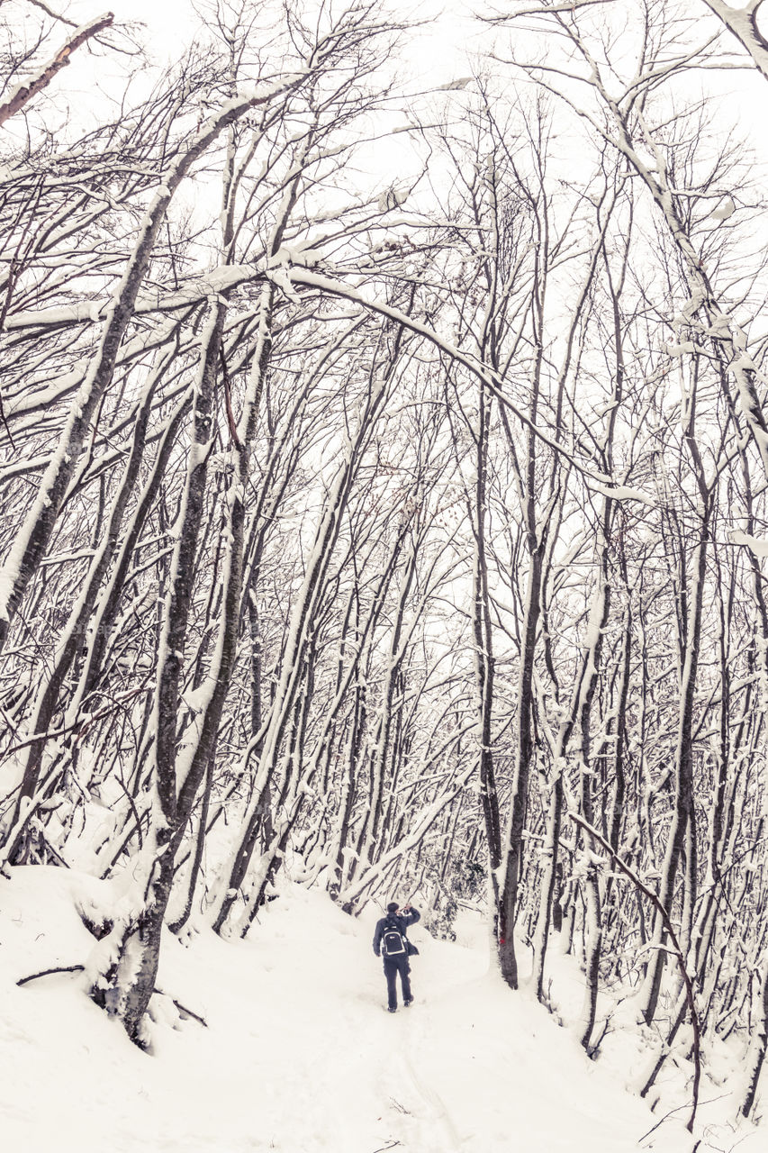 Man With A DSLR Camera In A Snowy Forest Landscape With Trees
