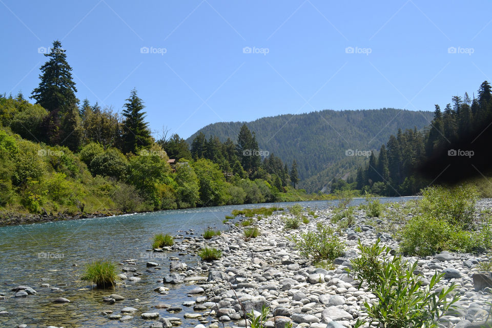Creek in northern California. Creek in northern California
