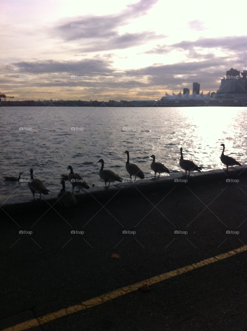 Water, No Person, Vehicle, Watercraft, Seashore