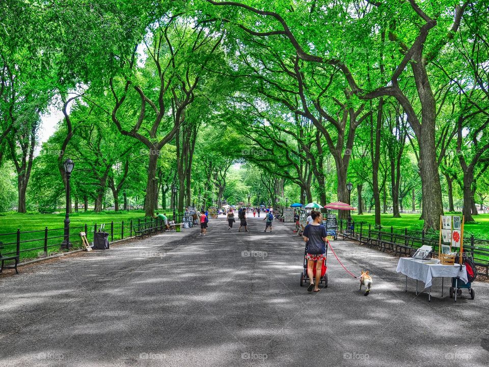 Literary Walk Central Park. The famous poet's walk at beautiful Central Park in New York City. 