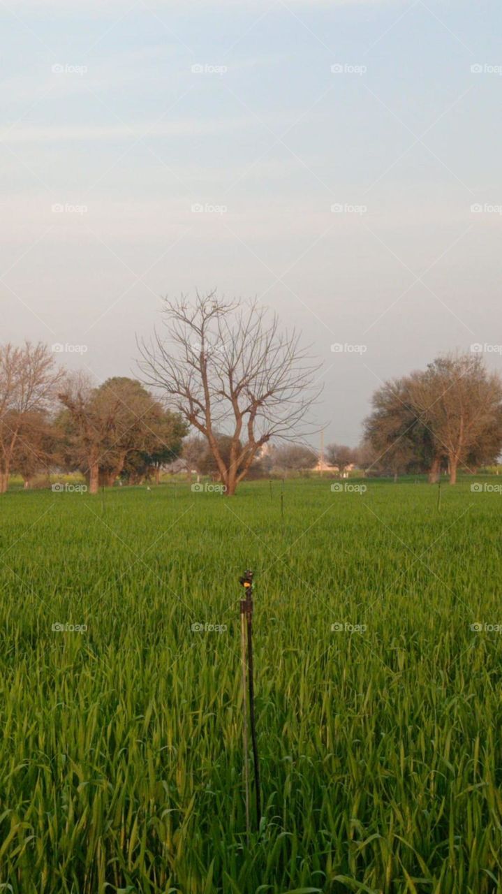 mornings are not the same without you so come over