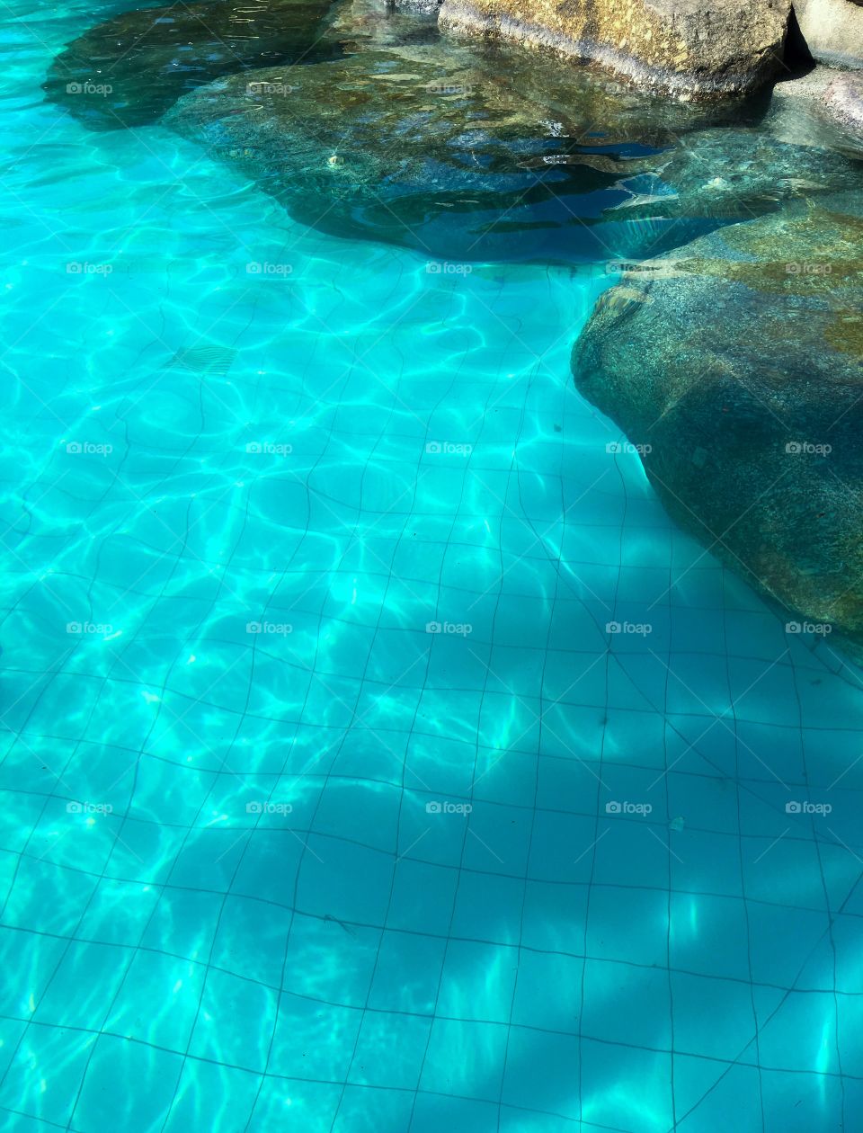 The sunlight that hits the surface of the pool with large stones that have been moss stuck for a long time.