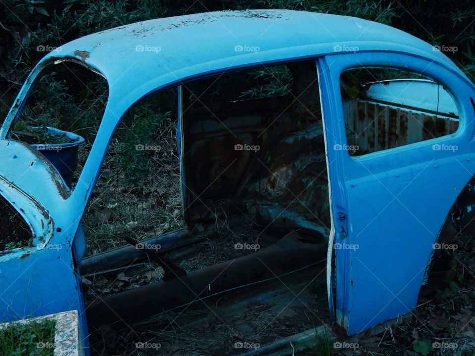  A blue abandoned beetle