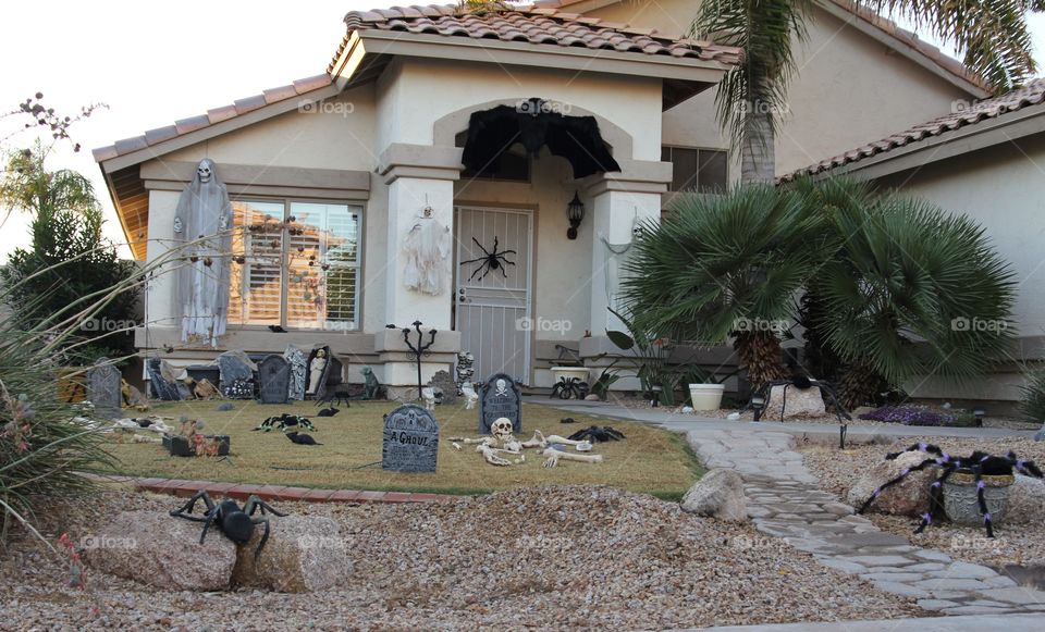 Fun Halloween decorations 