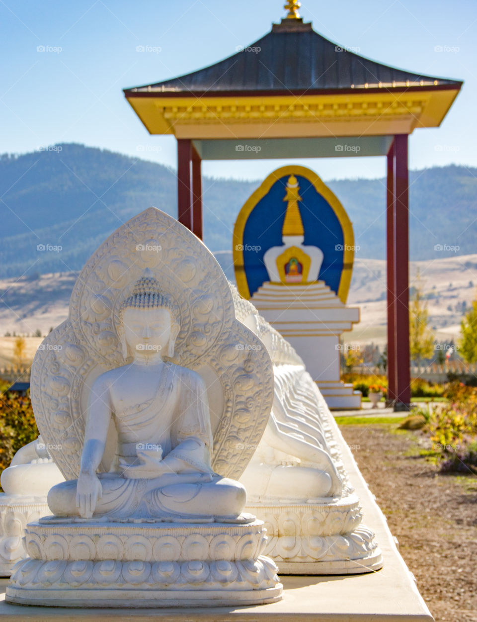 The Garden of a Thousand Buddhas 