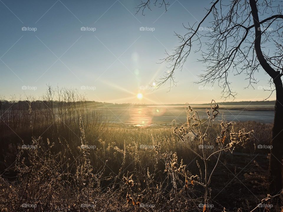 Winter morning warming