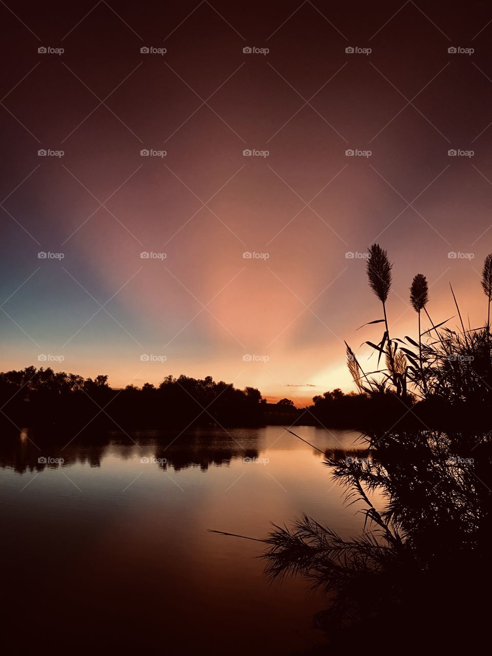 The heavenly Rays of Sunset. These Glorious Colors that Inhibit a Beautiful setting. They only last for a very short time so be precise and quick to capture the Glory.