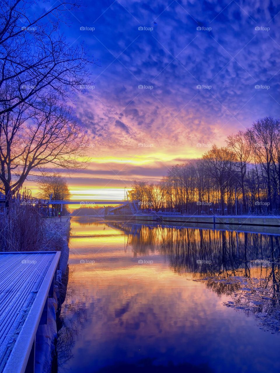 Dramatic and colorful sunrise going from gold over purple to deep blue reflected in the water of a river running between the bare trees in a winter landscape.