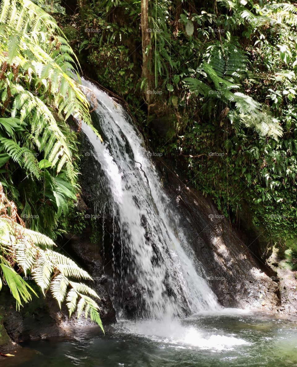 Waterfall in the rainforest