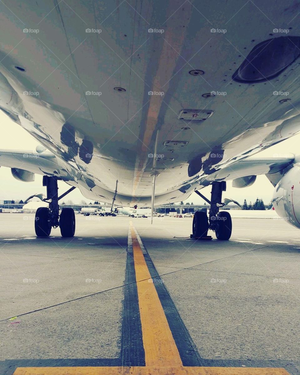 Underbelly Of A 737-800