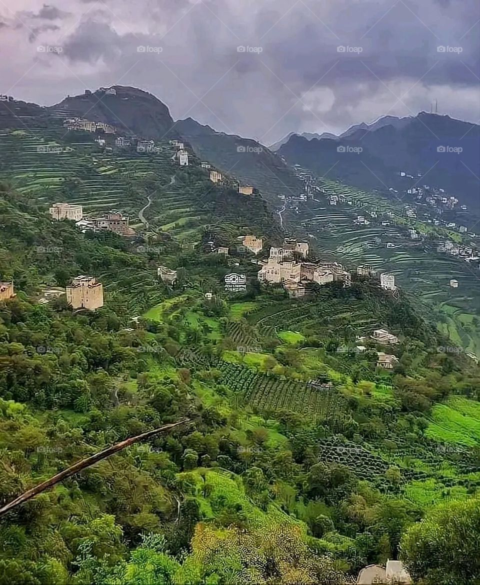The image embodies a natural natural plate of the mountains of nature, where green agricultural stands are graded on the slopes as if they were lines of a poem, which fog harmoniously wrapped, and clouds hugged them in the mountain knife and the whis