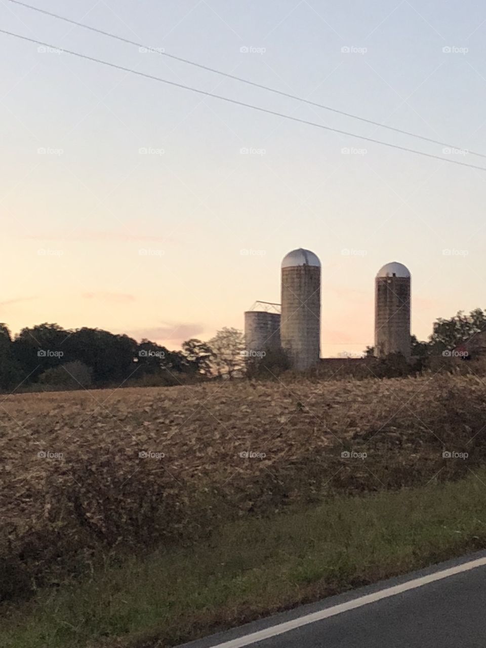 Silos and the country life