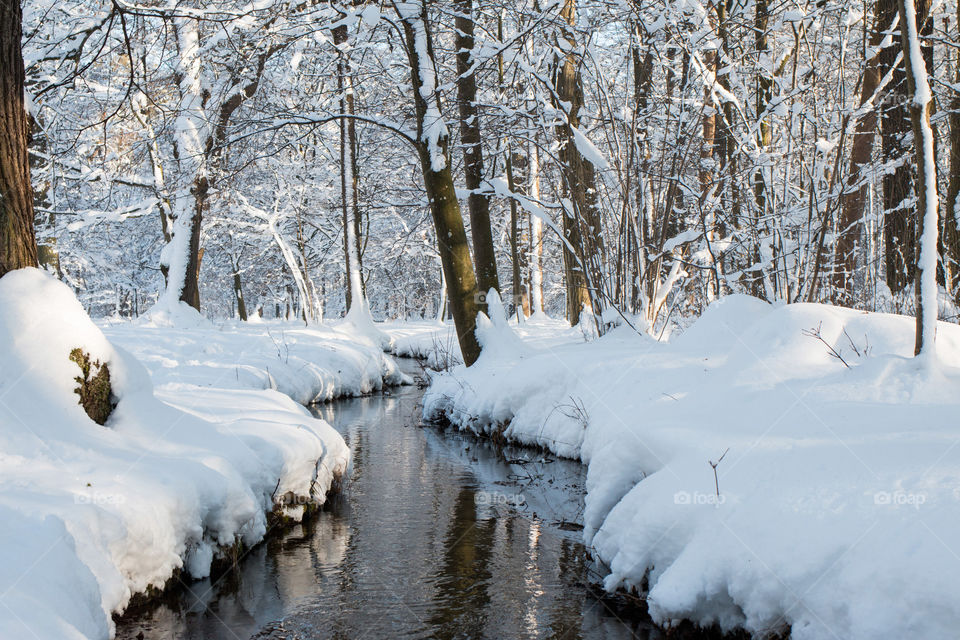 Nymphenburg park in winter