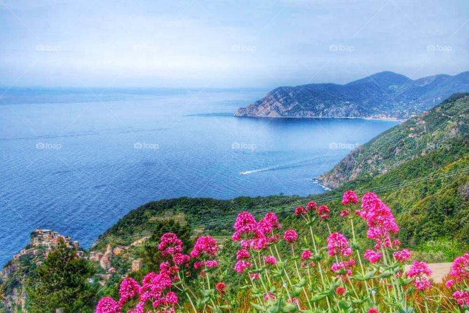 sunny cinque terre spring nature by ozoomia