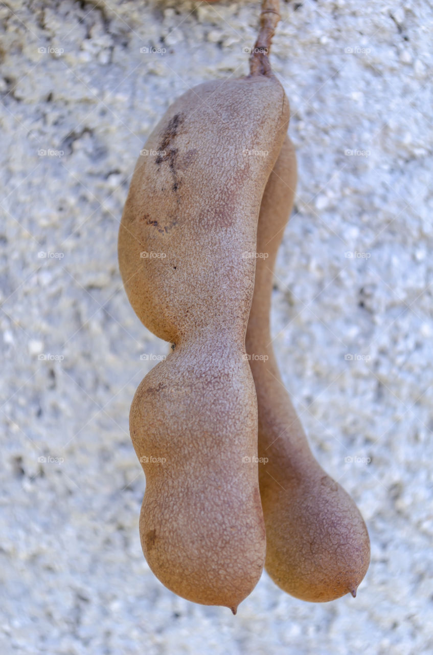 Tamarind Fruit